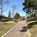 호두나무한의원 이미지