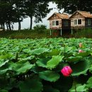 연못이 있는 풍경 이미지