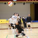 와수체육관 이미지