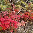 두레마을 이미지