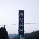 보성 녹차밭(대한 다원) 이미지