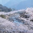 화개장터 이미지