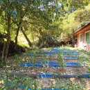 양평썬부동산공인중개사사무소 이미지