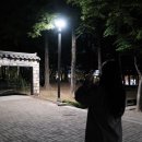 운동하는 날 day 이미지