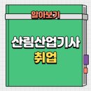 산림산업 | 산림산업기사 취업, 직장인 이직 후기
