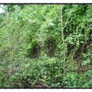 미류네 농장 이미지