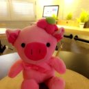 인형뽑기대마왕 이미지