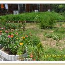 패밀리펜션 이미지