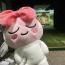 백양스크린골프 이미지