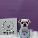 정봉미용실
