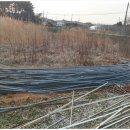 월성농장 이미지