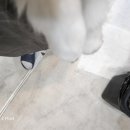 도도한고양이 | 고양이미용 잘하는 도도한강아지 후기~!