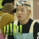 애니멀즈 이미지