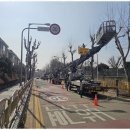 아코시스템 이미지