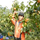 진영농장 이미지