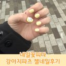 네일꽃피다에서 내손에 미미가 피어난날 강아지파츠네일 내돈내산