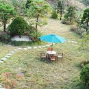 아이드림펫 이미지