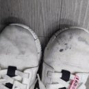 운동화전문세탁소 이미지