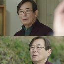 '막영애16' 측 "오늘 딸 시집보내는 부모 마음 담을 것" 이미지