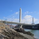 11545-02-38-33 | 군산 관리도(2026.02.19)