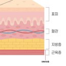 에스테라파 이미지