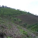 정남 민박 이미지