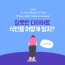 셀다이어트