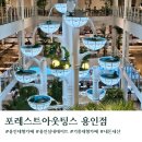 농서로L | 용인 대형카페 포레스트아웃팅스 주차 주말실내데이트