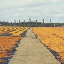 신촌목장 이미지