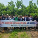 임양숙「나무」 이미지