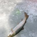 굴운낚시터 이미지