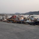 진동면사무소 이미지