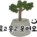 섬횟집 이미지