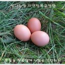 심다누팜 이미지