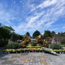 동서로~선화로 이미지