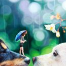 서정적 풍경 이미지