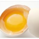 노른자 이미지