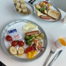 별빛애견 이미지