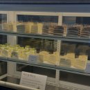 회사가는길 | 🚗 회사 가는 길에 들른 바하리야 카페! 감성 미쳤다…