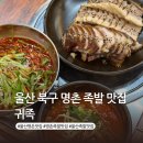 명촌뚝배기 | 울산 북구 명촌 족발 맛집 귀족 족보 마늘족발 회식장소 추천