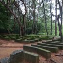 원대 수목원 이미지