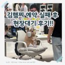 김*선 - 진안군 궁동3길 18-15 | 신세계 강남점 김햄찌 팝업 후기｜사전예약·현장예약 모두 실패! 인생네컷은 성공🍀