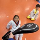 키움태권도장 이미지