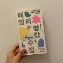 매일의 영감 수집 / 서은아