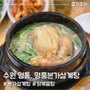 수원 매탄동 명품본가삼계탕, 삼성전자 삼계탕 닭볶음탕 맛집