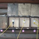 덕유대자동차야영장 이미지