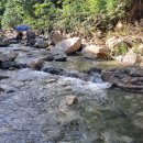 누리켄넬 | 포천 애견동반 식당,관광지추천::바위소리,시골집,지장산계곡,포천아트밸리 강아지 데리고 다녀온 후기🐶