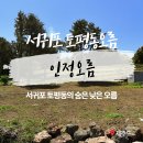 신계마을농로 | 인정오름 서귀포 토평동의 숨은 낮은 오름