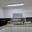 숲속의하얀집 이미지