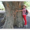 상평마을 이미지